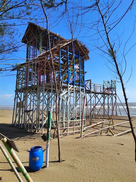 Pantai Wonokerto Pekalongan Wisata Bahari Dengan Taman Pohon Cemara