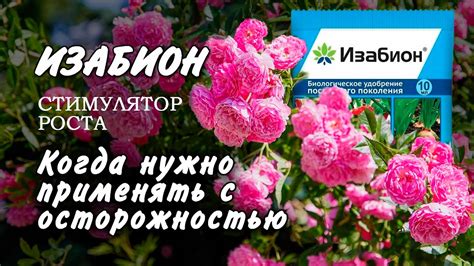 Изабион применение. Когда Изабион может навредить? - YouTube