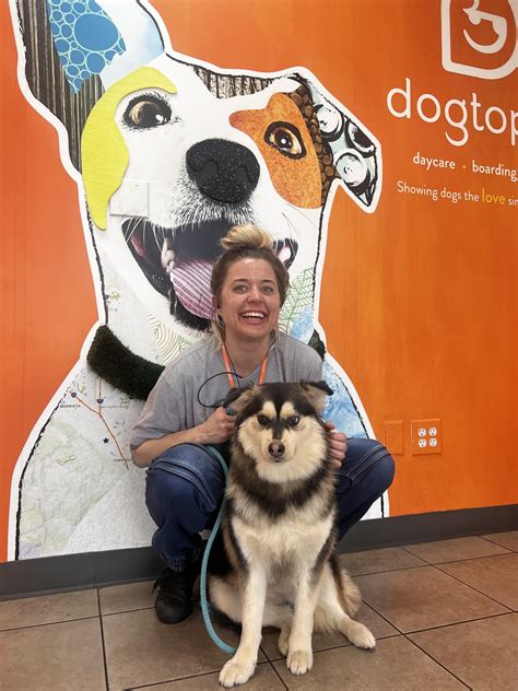 About the Team | Dogtopia Temecula