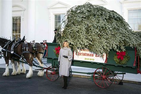 Melania Trump May Be More Invested in W.H. Christmas Decor This Time ...