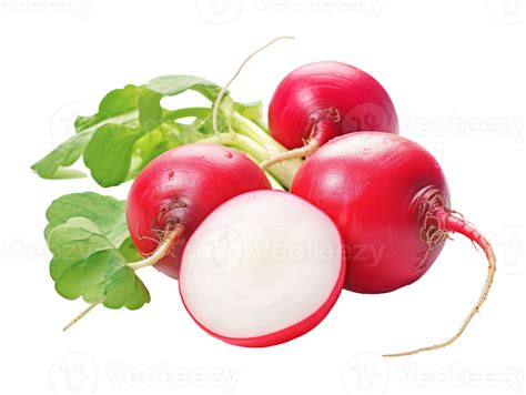 Radish Isolated On Transparent Background 44308006 Png