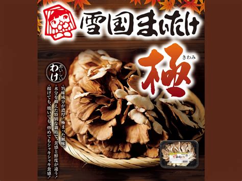 シャキシャキ食感で濃厚な旨み！まいたけの究極『雪国まいたけ極きわみ』を天ぷらやピザで！超簡単レシピもご紹介｜フレッセイジャーナル