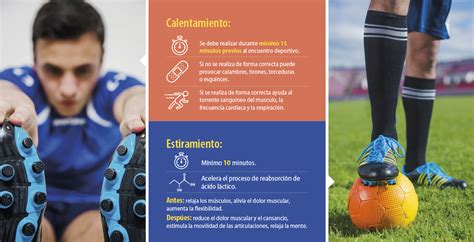 Importancia Del Calentamiento Y Estiramiento En La Actividad F Sica