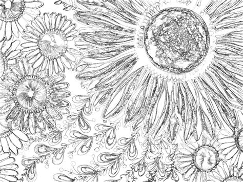 black  white flower sketch  stock photo public domain pictures