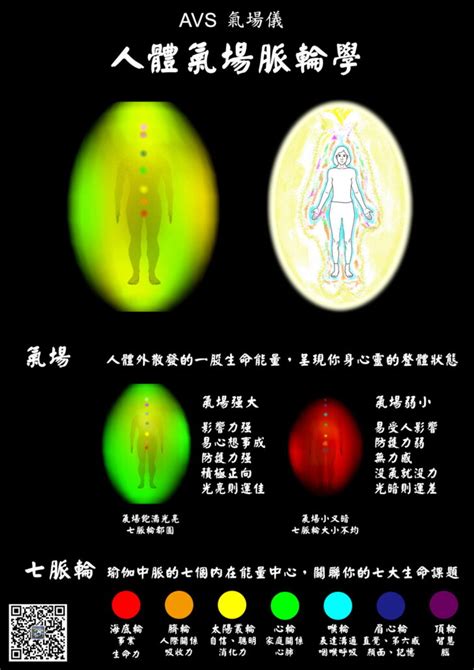 氣場、七脈輪，用一張圖就看懂！ Power Avs 人體氣場攝錄儀 原廠 Avs气场仪