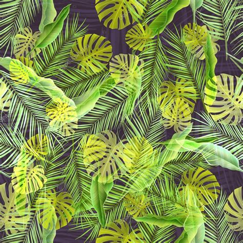 Tropical Leaf Background