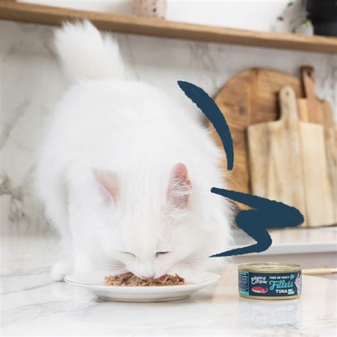 Tuna And Squid Grain Free Fillets For Cats Edgard And Cooper