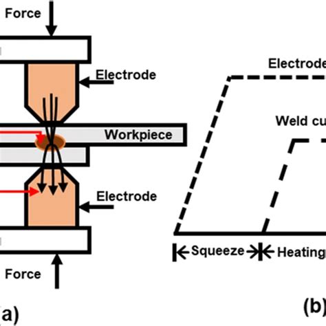 A Schematic Illustration Of Rsw And B Stages Of Typical Rsw Cycle