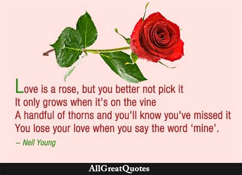 Rose Quotes Top Sayings About Roses From Allgreatquotes