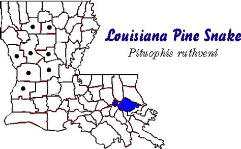 Louisiana Pine Snake Map