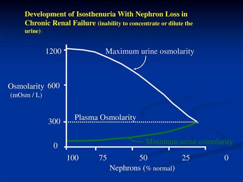 Urine Concentration And Dilution Regulation Of Extracellular Fluid