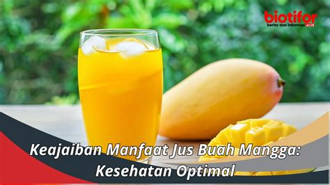 Keajaiban Manfaat Jus Buah Mangga Kesehatan Optimal Biotifor