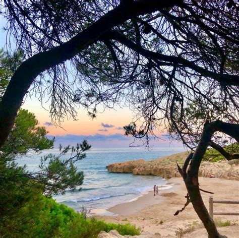 Cala Romana és un petit paradís entre pins a tocar de Tarragona COSTA