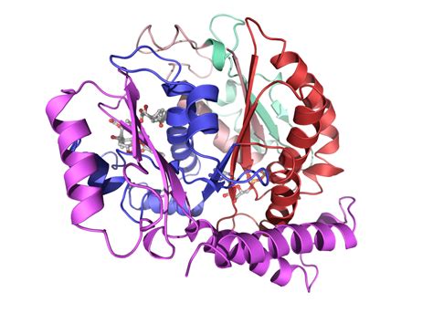 3D Protein Imaging » Gallery