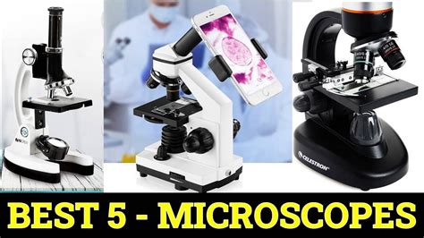 Top 5 Best Microscopes Of 2023 Youtube