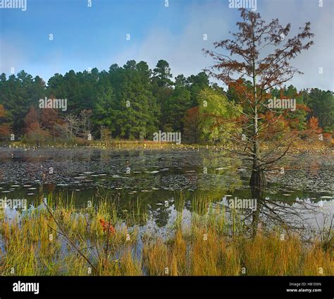 Millwood Lake State Park, Arkansas Stock Photo - Alamy