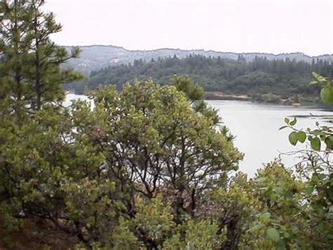 Orchard Springs Campground Rollins Lake California