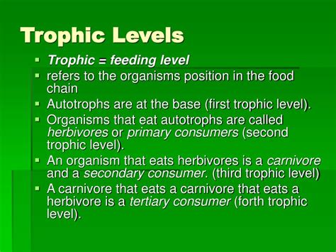 Ppt Trophic Levels And Pyramids Powerpoint Presentation Free Download Id 600102