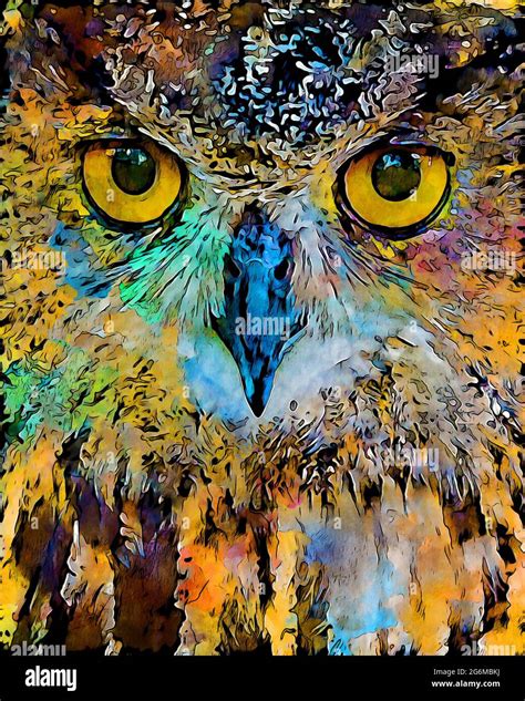 Colorful digital painting close-up portrait of an owl making eye ...