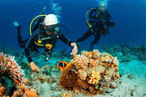 Explorer les plus beaux spots de plongée sous marine du monde