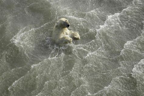 Arctic Sea Ice Melting Sets Record Low