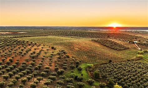 Governo atribui subsídios a organizações agrícolas representação em