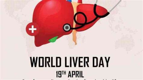 World Liver Day 2022 Telugu People Hub Padhyavani