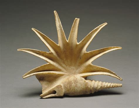 Offering Vessel In The Shape Of A Seashell About 425 Bc Greece