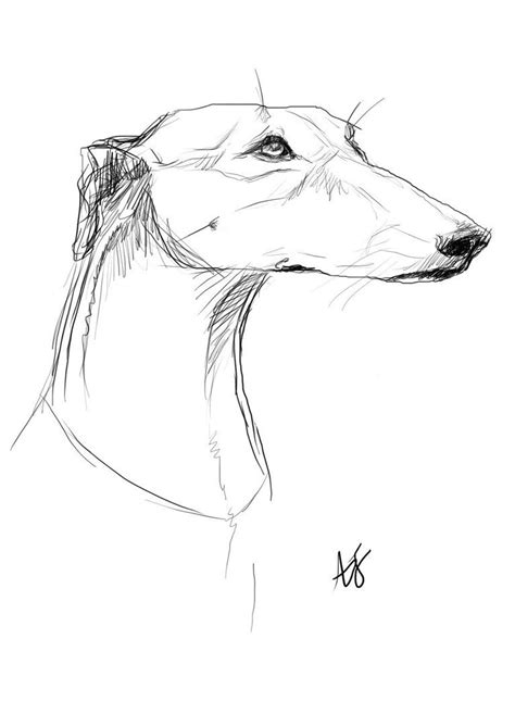 Dibujos Animados Perro Galgo Para Colorear Libro 2022 Porn Sex Picture