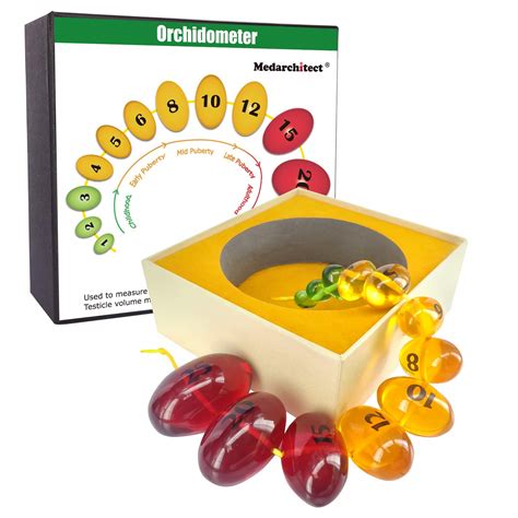 Medarchitect Prader Orchidometer, Prader Balls, Endocrine Beads For ...