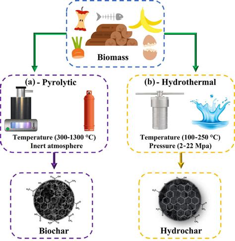 Schematic Representation Of Different Biomass Thermal Conversion