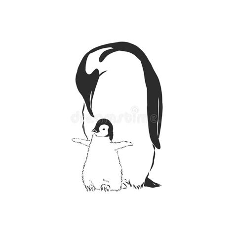 Pinguins De Desenho Manual Ilustra O Vetorial Do Desenho Vetor Do