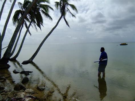 Tonga - Sustainable Seas