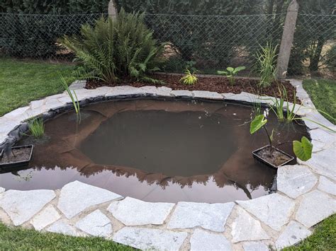 Einen Kleinen Teich Als Biotop Selber Bauen Ein Biotop Anlegen