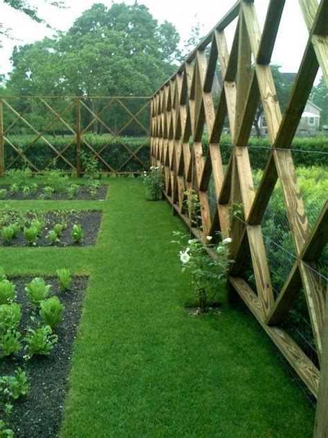 Deer fence ideas – why do you need one and how to choose it?