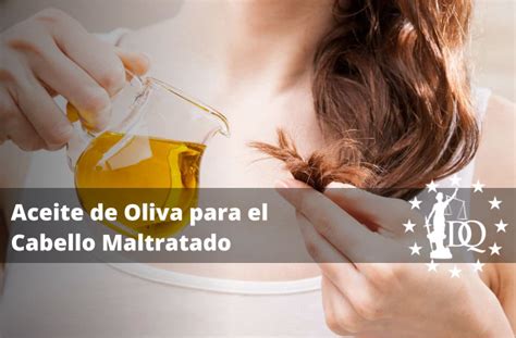 C Mo Usar El Aceite De Oliva En El Cabello Maltratado Estudiar Est Tica