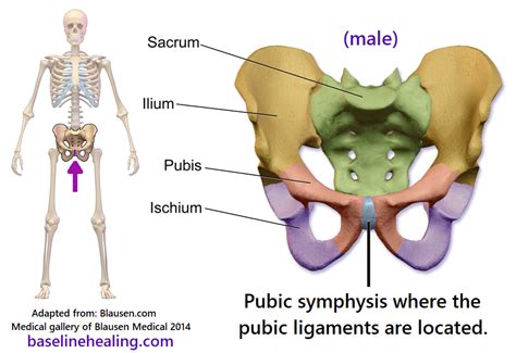 Xiphisternum Pain | informacionpublica.svet.gob.gt