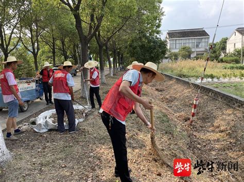 苏州望亭镇何家角村：“四微”融合治理，助力全国文明典范城市创建何杭路生活何家角