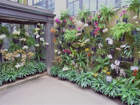 Orchid Wall Orchids Garden Vertical Vegetable Garden Orchids In Water