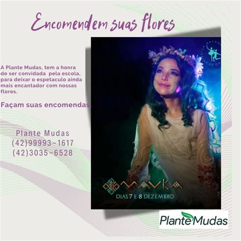 Plante Mudas Guarapuava - Plante Mudas | Guarapuava PR