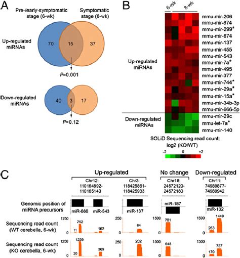 Systematic Identification Of Dysregulated Mirnas In Wt And Ko Download Scientific Diagram