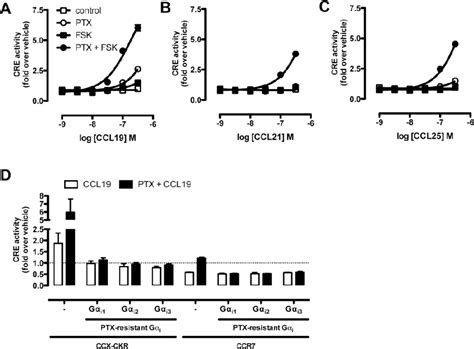 Figure 2 From Vu Research Portal Dimerization And Signaling Of The Chemokine Receptors Cxcr3 And