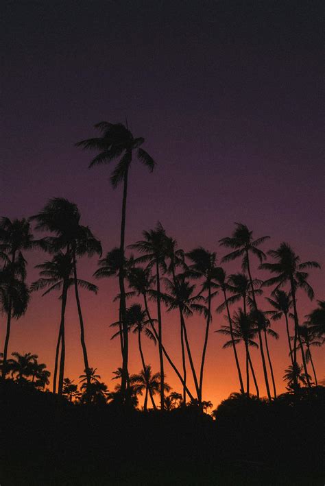 Hawaii Sunset Photos, Download The BEST Free Hawaii Sunset Stock Photos ...