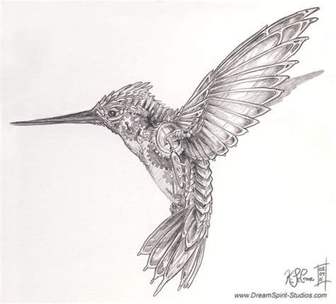 Hummingbird Sketch Images at PaintingValley.com | Explore collection of Hummingbird Sketch Images