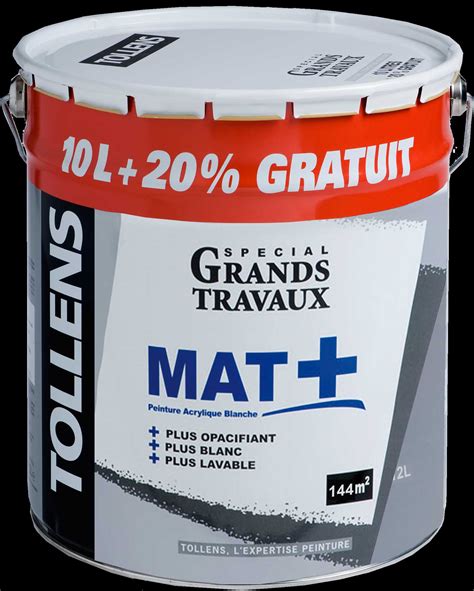 Peinture Murs Et Plafonds Monocouche Mat 10l20 Tollens Mrbricolage