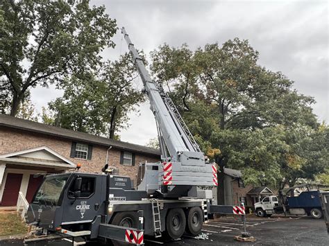 Tree Removal Knoxville Tn Pro Tree Knoxville