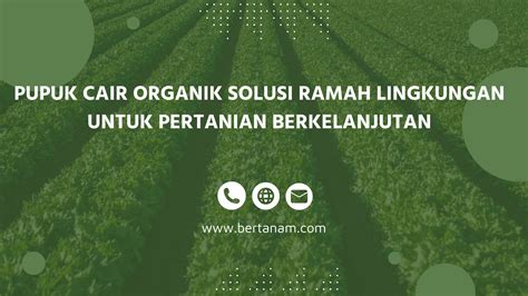 Pupuk Cair Organik Solusi Ramah Lingkungan Untuk Pertanian