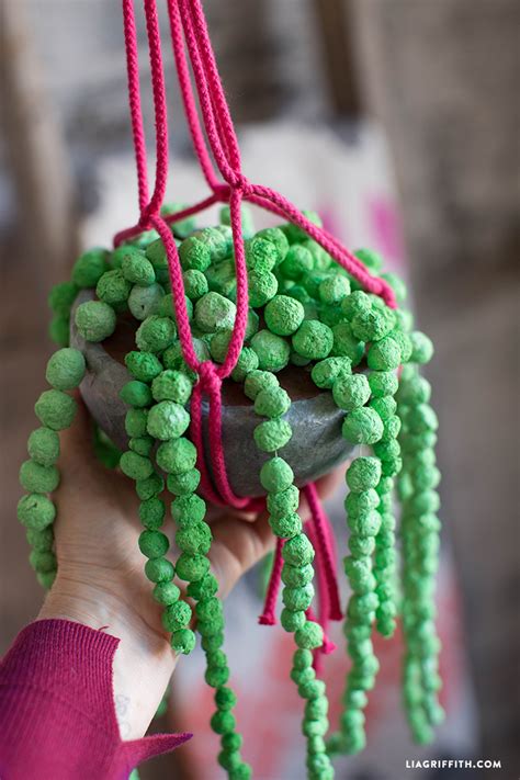 Paper Mache String Of Pearls Plant Lia Griffith