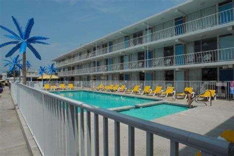 Blue Palms - UPDATED 2017 Prices & Motel Reviews (Wildwood, NJ) - TripAdvisor