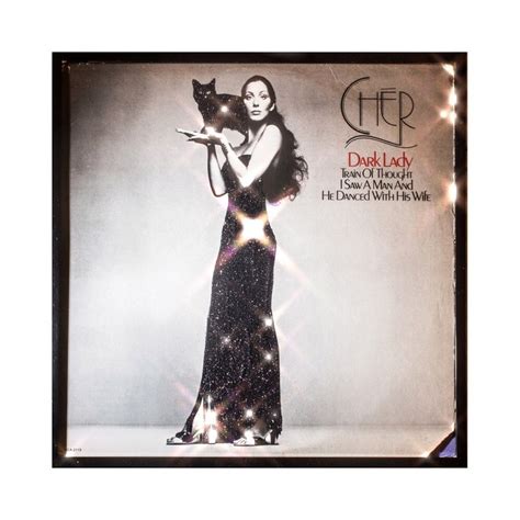 Glittered Cher Dark Lady Album - Etsy